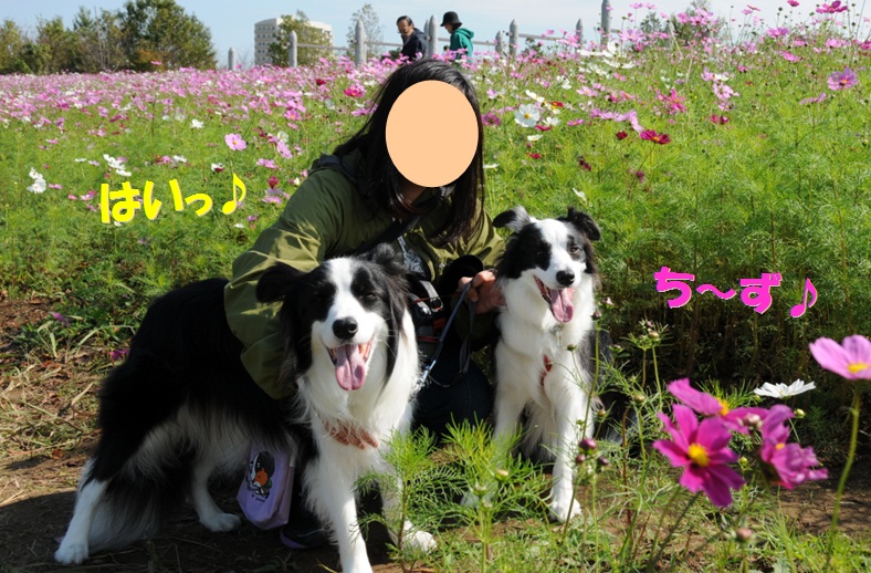 c0147241_1842227.jpg