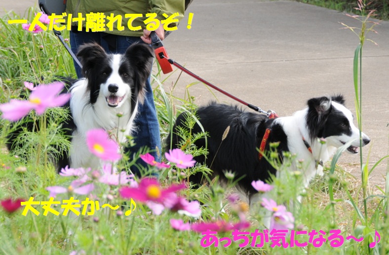 c0147241_18424969.jpg