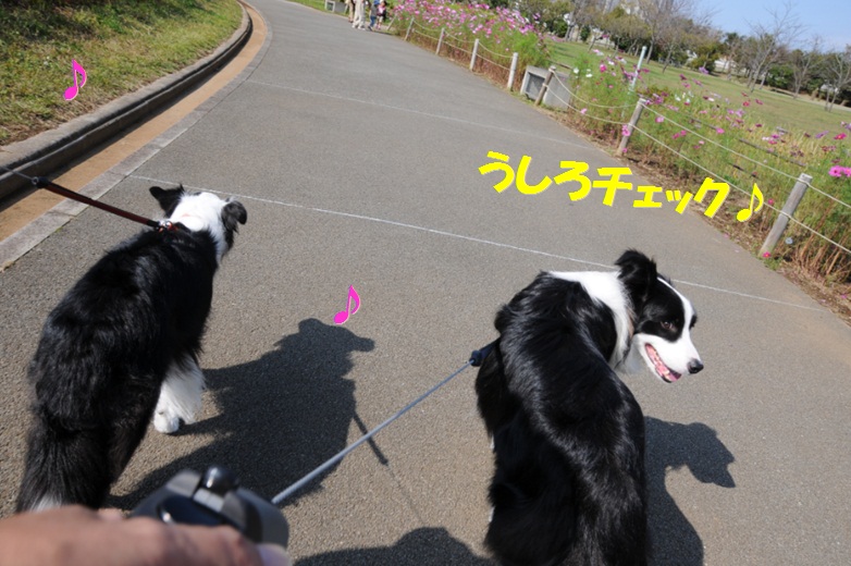 c0147241_18431124.jpg