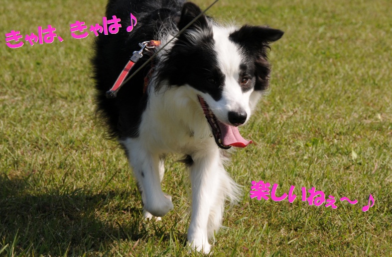 c0147241_1844216.jpg