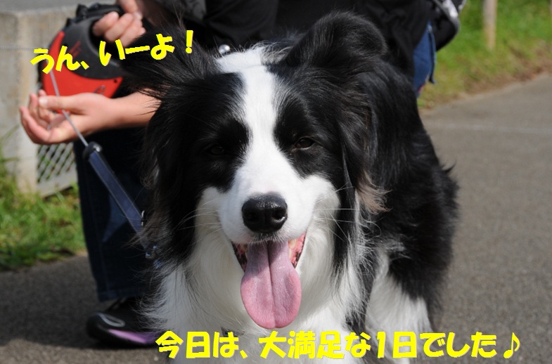 c0147241_18442355.jpg