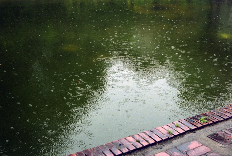 d0089742_23273423.jpg