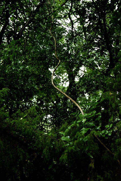 d0089742_23275644.jpg