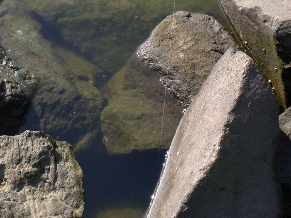 a0175545_17452742.jpg