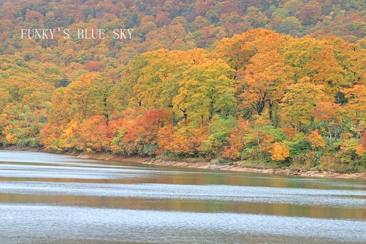 c0145250_165691.jpg