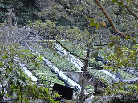 f0046854_22241185.jpg