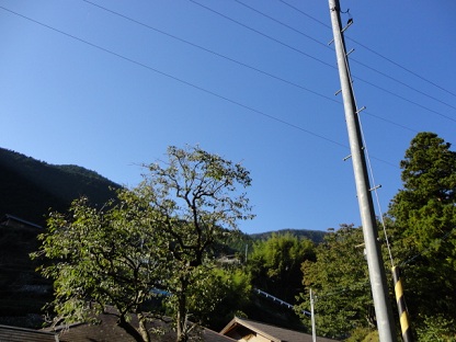 f0046854_22243768.jpg
