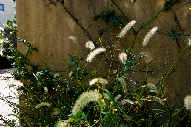 d0169755_13184898.jpg
