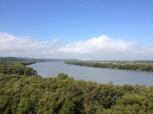 c0105957_252639.jpg