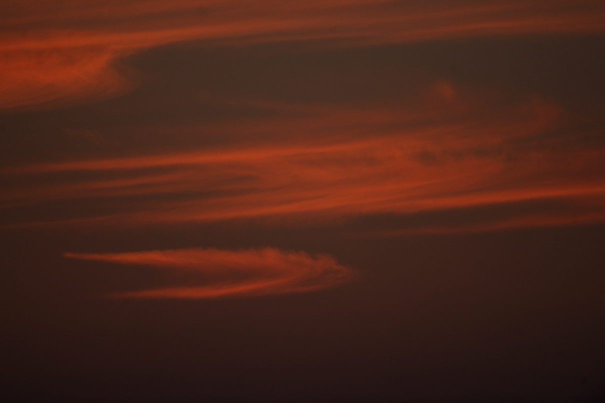 e0216857_22401830.jpg