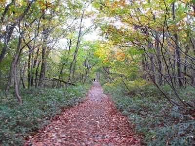 b0145863_013415.jpg