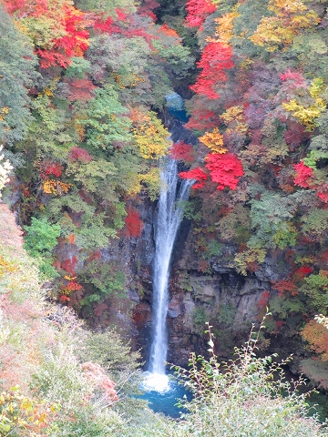 b0145863_0134879.jpg