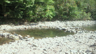 a0267766_21401245.jpg