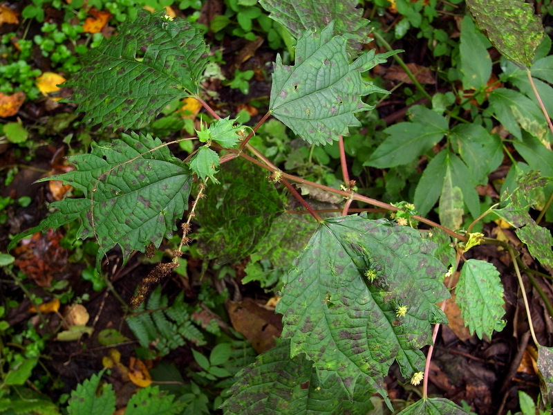 b0130166_21173174.jpg