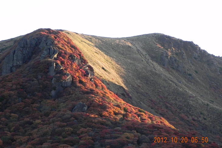 f0016066_2319189.jpg