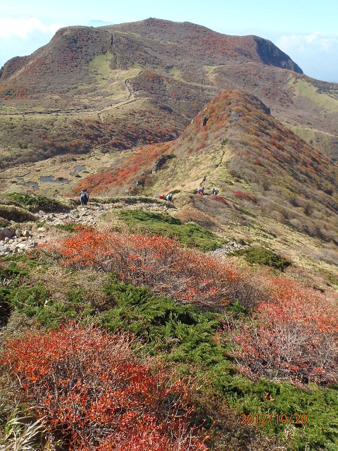 f0016066_23545117.jpg