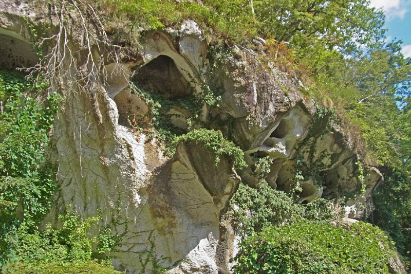 e0100772_2227352.jpg