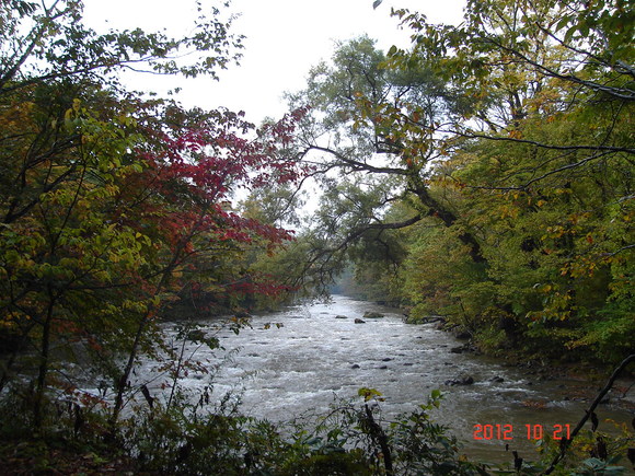 a0188775_10275547.jpg