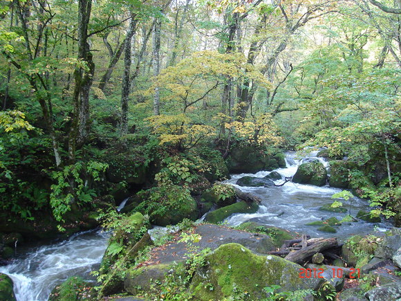 a0188775_10281867.jpg