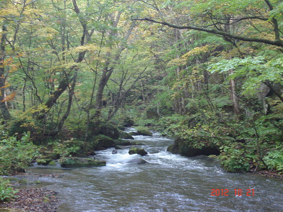 a0188775_10303072.jpg