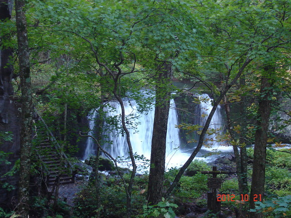 a0188775_10354269.jpg
