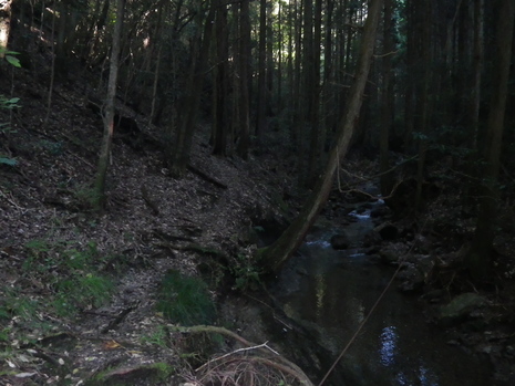 c0019376_20162169.jpg