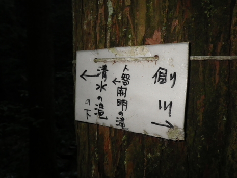 c0019376_20163225.jpg