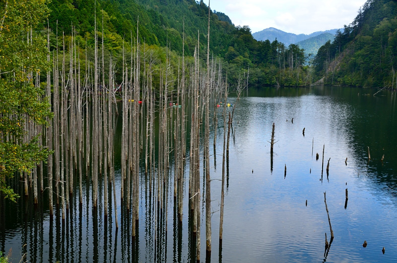 f0108478_20101358.jpg