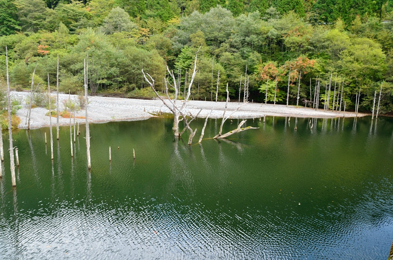 f0108478_2055114.jpg