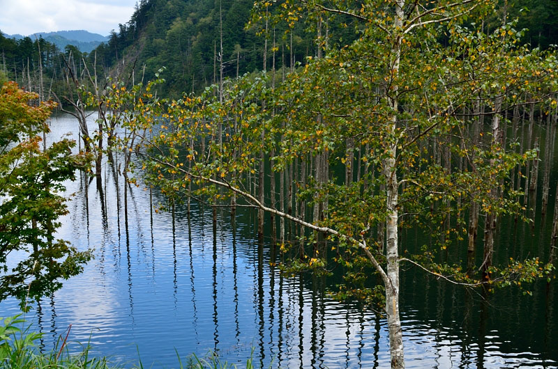 f0108478_2084230.jpg