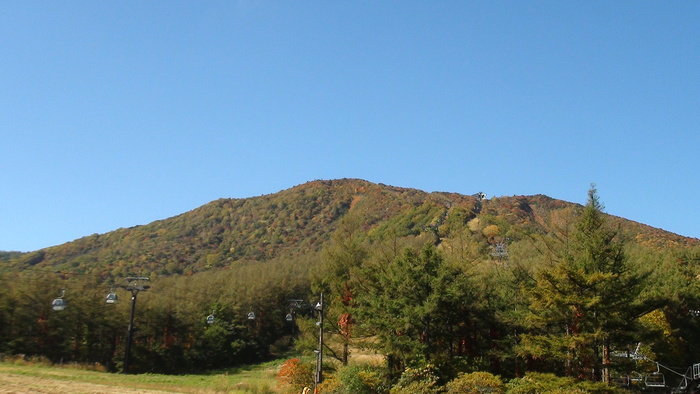 a0279883_14274125.jpg