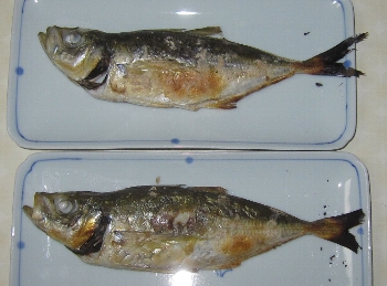f0003283_625433.jpg