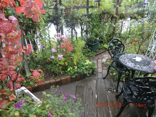 c0078586_861548.jpg