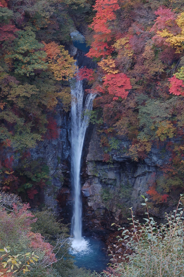 b0203588_183746100.jpg