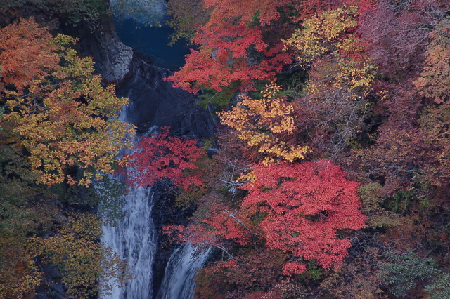 b0203588_18391175.jpg