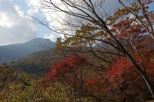 b0203588_1840069.jpg