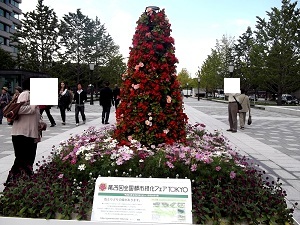 f0235289_1146620.jpg