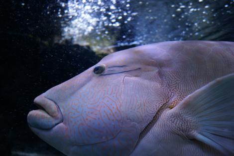c0028792_2363593.jpg