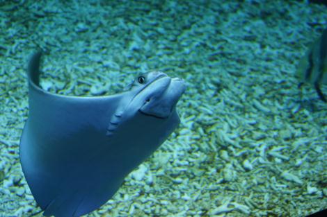c0028792_237459.jpg