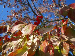 e0227996_2230553.jpg