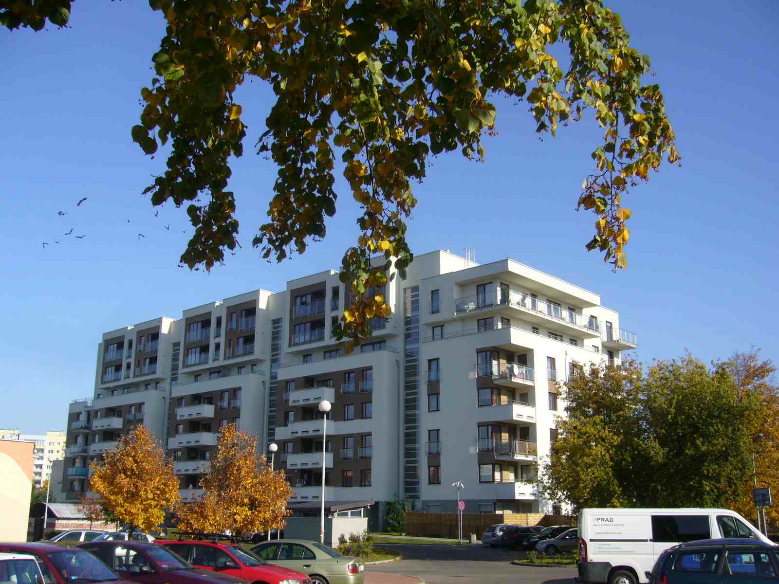 f0169397_19541834.jpg