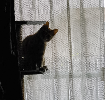 f0239100_22373578.jpg