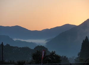 e0207503_1243337.jpg
