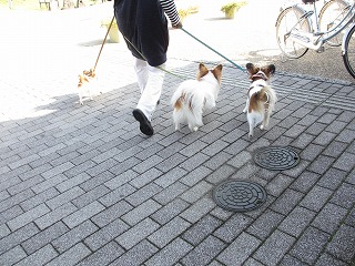 b0243804_16535671.jpg