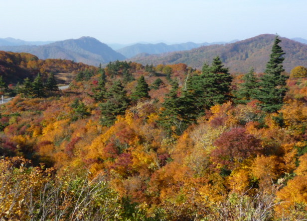 a0214206_2303035.jpg