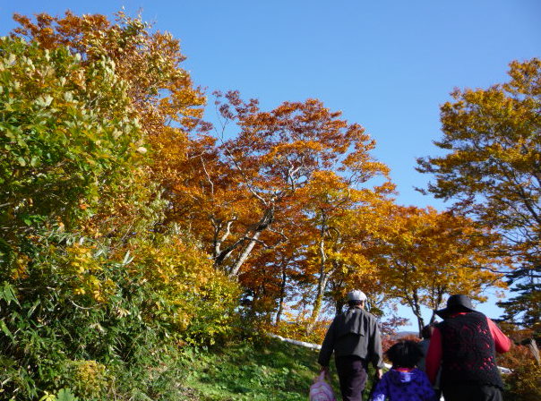 a0214206_2323971.jpg