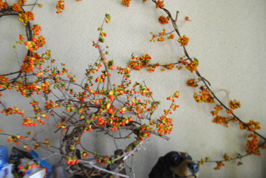 d0273508_2011036.jpg