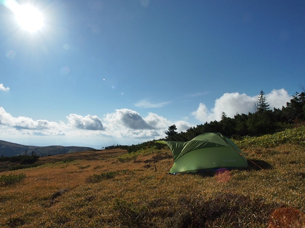 b0244811_22442540.jpg