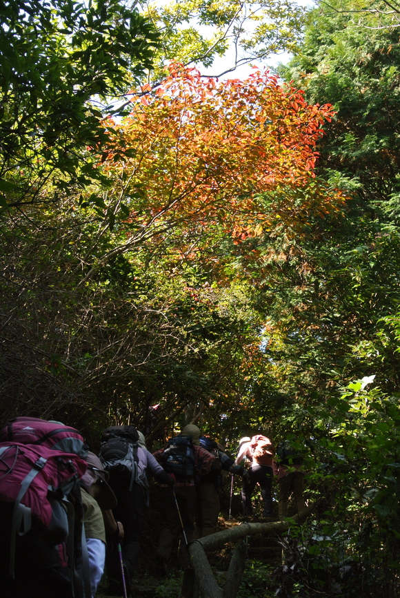 f0218012_2012315.jpg