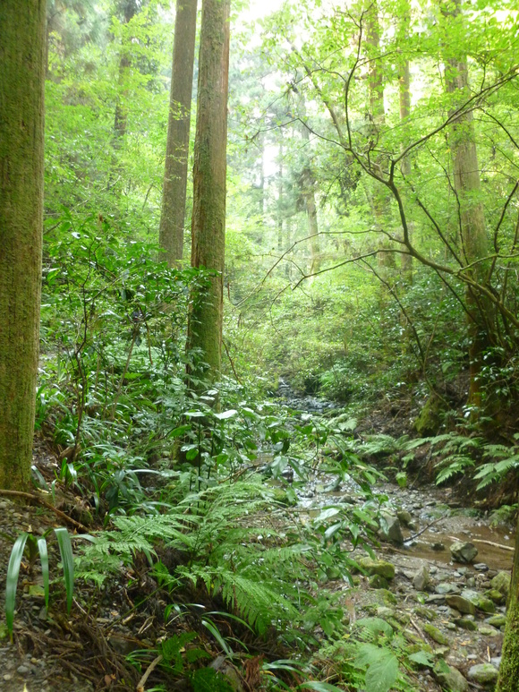 f0127915_21235560.jpg
